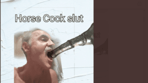 Moofy’s Rollercoaster to Ruin